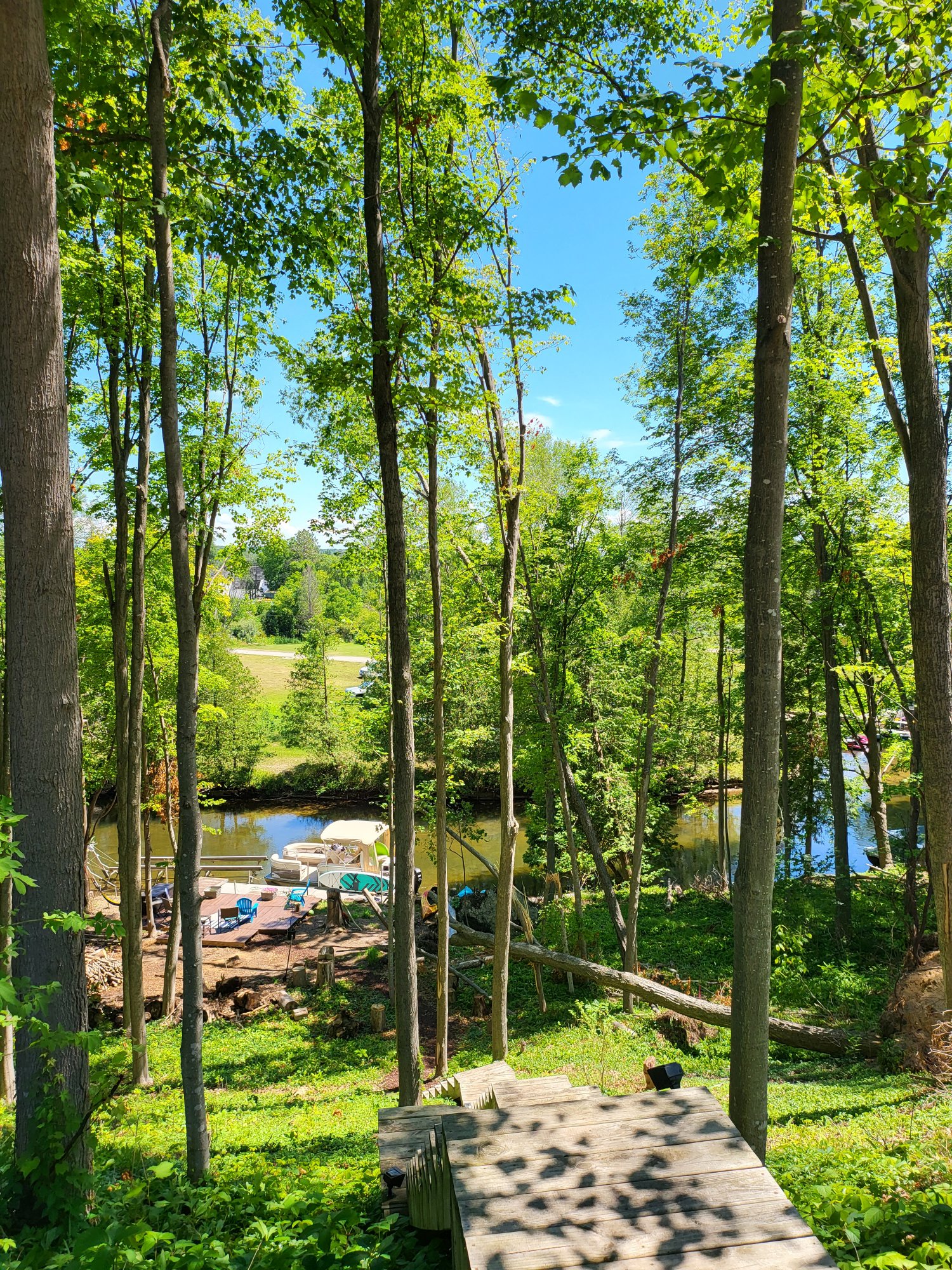 River view from The Tara